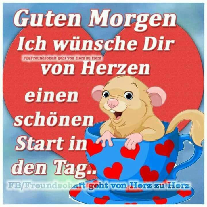 guten morgen bilder lustig bilder