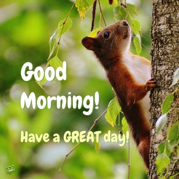 Animals Greeting Good morning with love Images - Animals Greeting Good morning with love Images