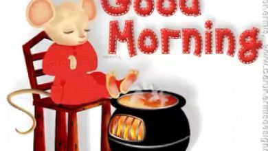 Animals Greeting Happy good morning Images 390x220 - Animals Greeting Happy good morning Images