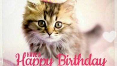 Best happy birthday quotes Image