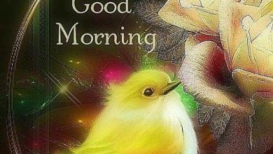 Birds good morning today image Greetings Images