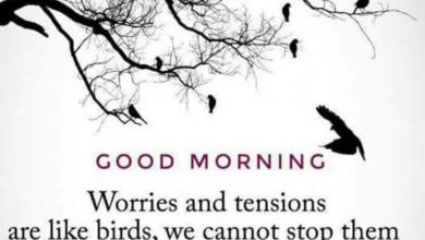 Birds great morning photos Greetings Images