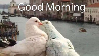 Birds morning greeting photo Greetings Images