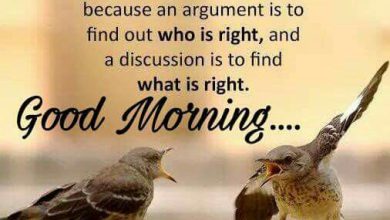 Birds new good morning image Greetings Images