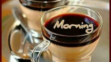 Coffee and Breakfast Greeting Good day news Images 390x220 - Coffee and Breakfast Greeting Good day news Images
