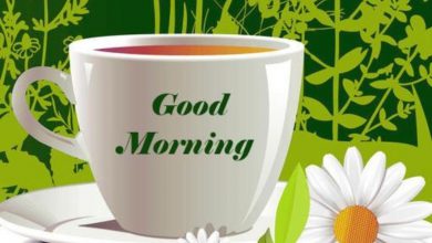Coffee and Breakfast Greeting Happy morning Images 390x220 - Coffee and Breakfast Greeting Happy morning Images