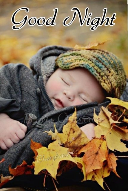 Cute good night wishes image