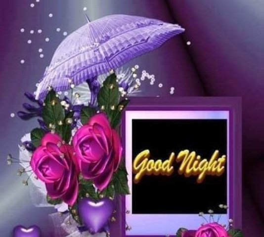 Cute good nite quotes image
