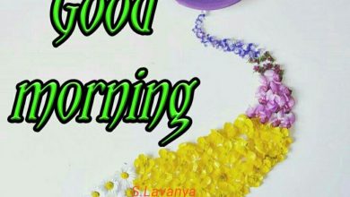 Flower great day morning image Greetings Images