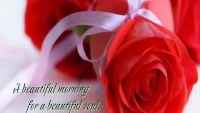 Flower sweet morning images Greetings Images