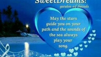 Gn sweet sms image