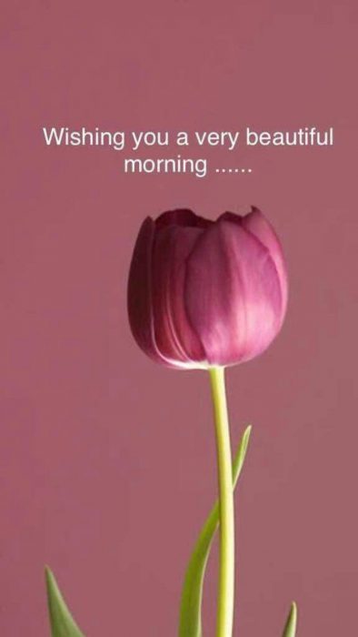 Good day quotes greetings Images - Good day quotes greetings Images