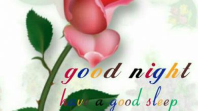 Good night image photo image