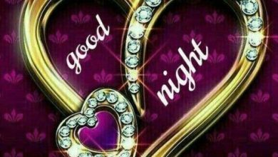 Good night messages for friends image