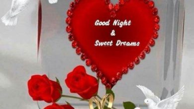 Good night talk image