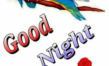 Good night video hindi song image