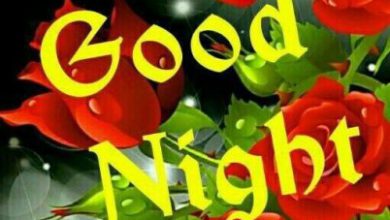 Good night video image