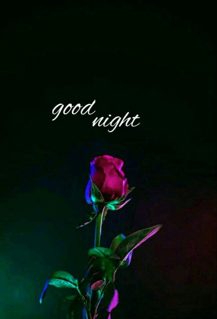 Good night wishes image