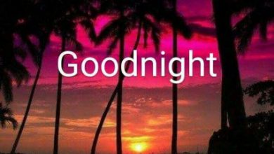 Good night wishes quotes lover image