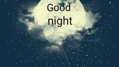 Good nite inn image