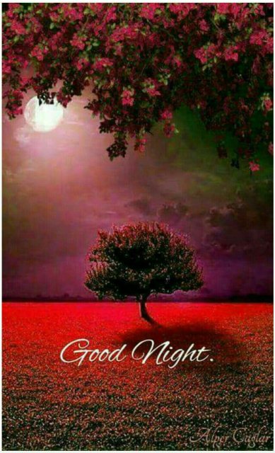Good nite sms image