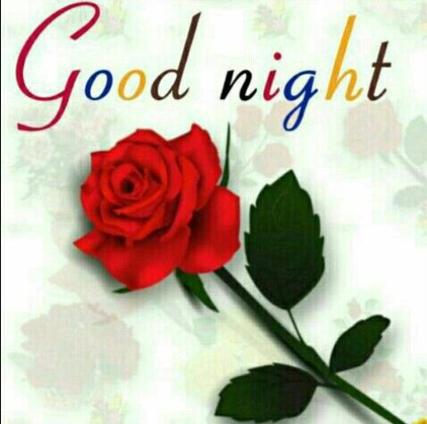Good nite to you image