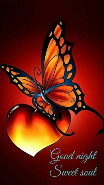 Good nyt pics image