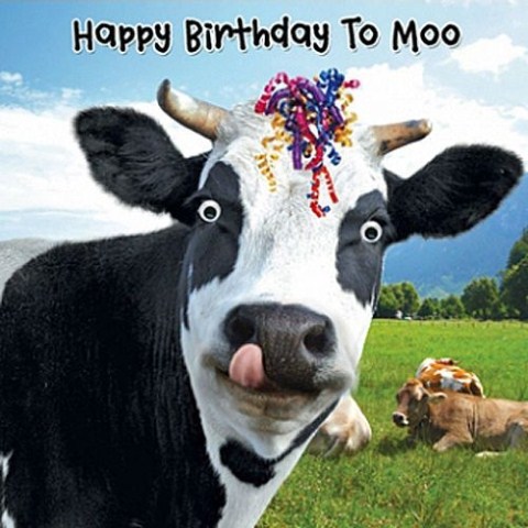 Happy birthday wishes Image