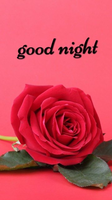 How to spell goodnight image