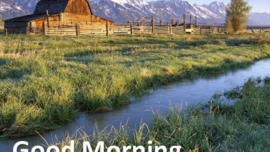 Morning greeting mountains images Greetings Images