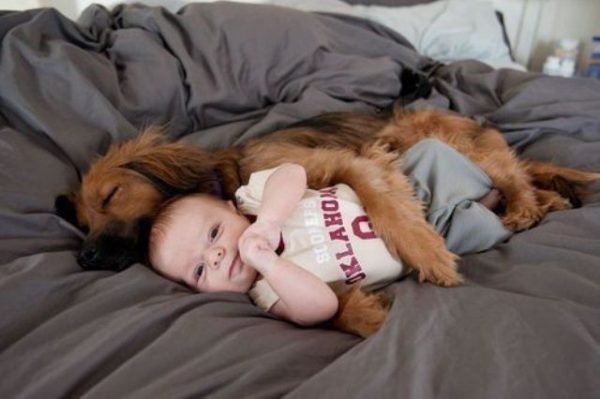 Pretty good night image