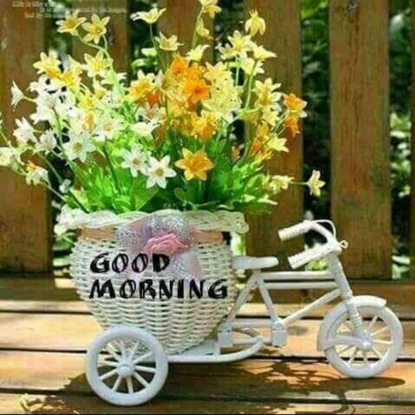 Rose good morning greetings image Greetings Images
