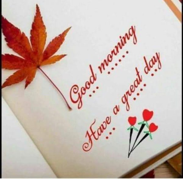 Rose great morning photo Greetings Images
