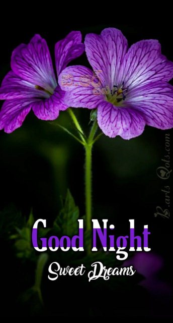 Sweet good nite message image