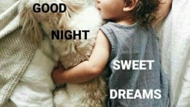 Sweet goodnight text image