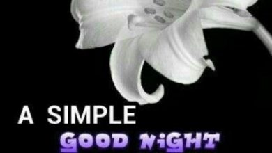 Sweet gud night messages image