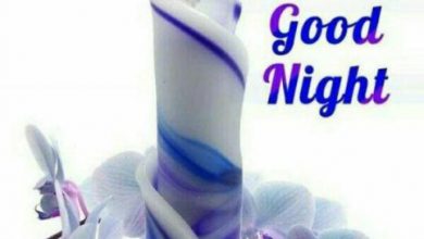 Very sweet good night messages image