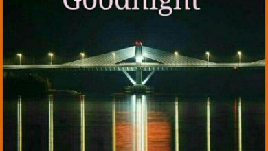 Wishing someone good night image