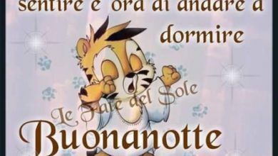 Belle Frasi Buonanotte Immagini