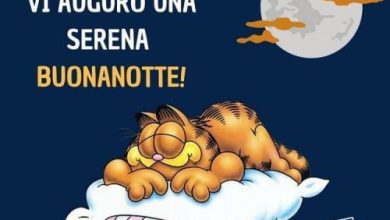 Buonanotte Carine Immagini