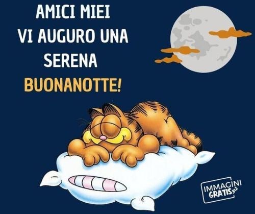 Buonanotte Carine Immagini