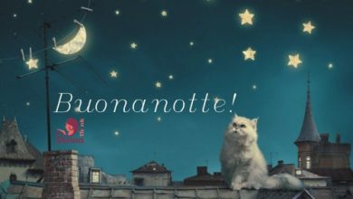 Buonanotte Immagini Carine Immagini