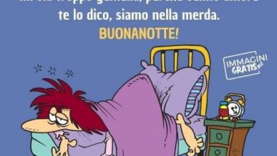 Buonanotte Meravigliosa Immagini