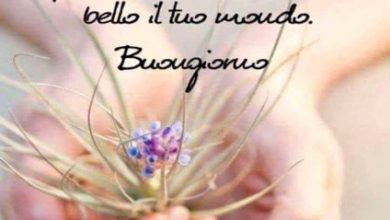 Buongiorno Con Amore Immagini