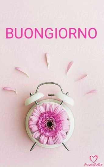 Buongiorno Divertenti Immagini Immagini