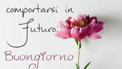 Buongiorno Romantico Frasi Immagini