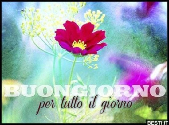 Cartoline Di Buongiorno Divertenti Immagini