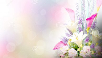 Easter Blessing Messages 390x220 - Easter Blessing Messages