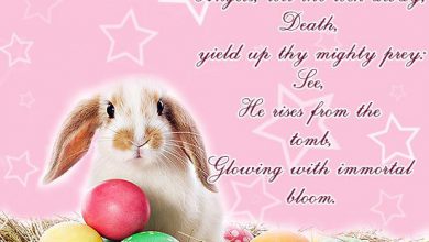 Easter Quotes And Sayings