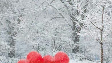 Festa San Valentino Immagini